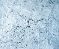 [+pagetitle+]